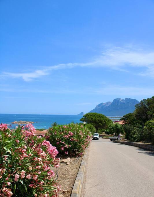 Relais Il Corallo Porto San Paolo  Exteriér fotografie